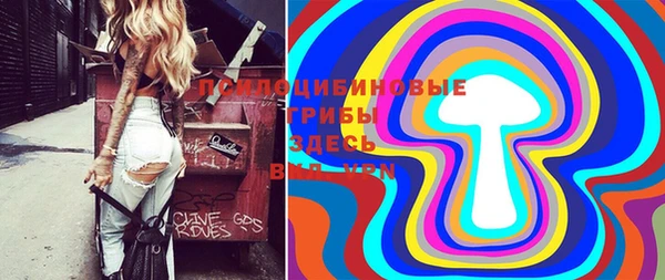 бошки Вязьма
