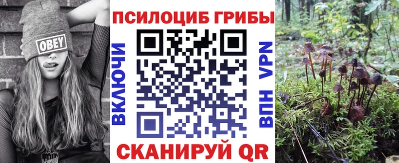 Галлюциногенные грибы Psilocybe  blacksprut зеркало  shop клад  Ивангород 
